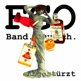 Fgo-abgesteurzt-cover-art